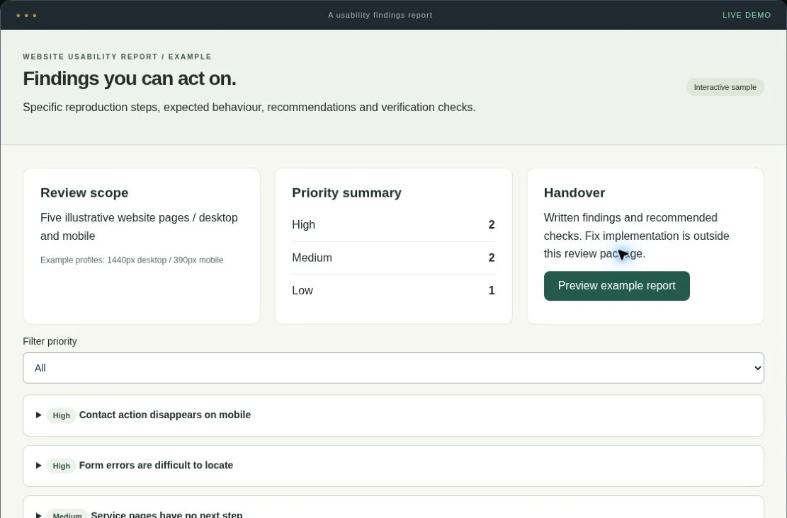 Website usability review interactive service demo